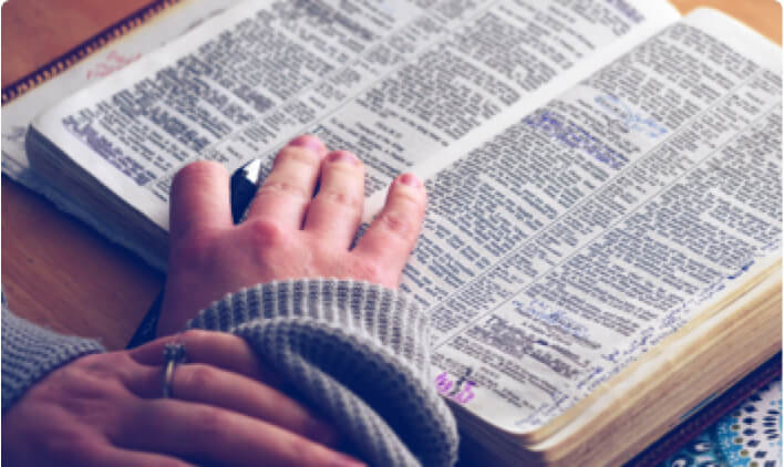 Startup Directory / Useful Services