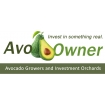 AvoOwner