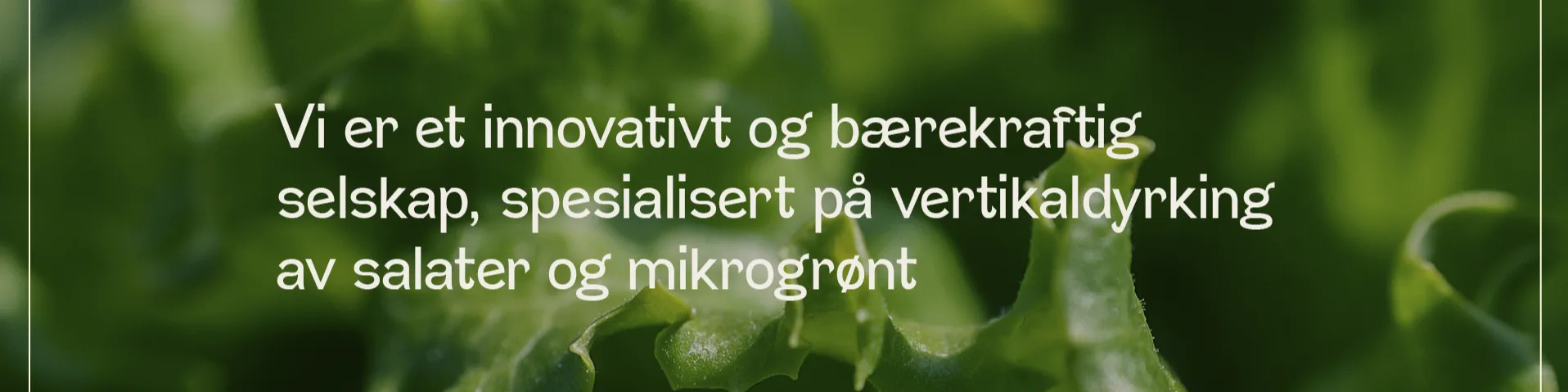 Greens From The Arctic